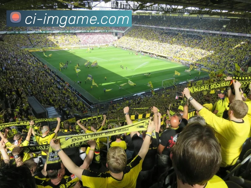 IM电竞官网APP 高清赛事图